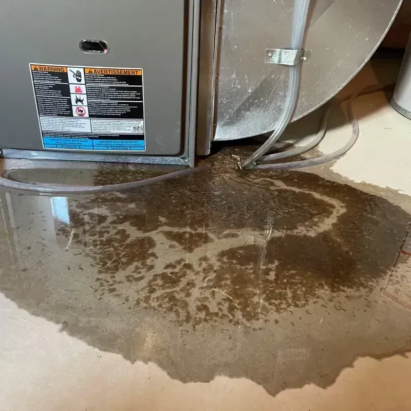 Appliance Leak Cleanup in Dracut, MA